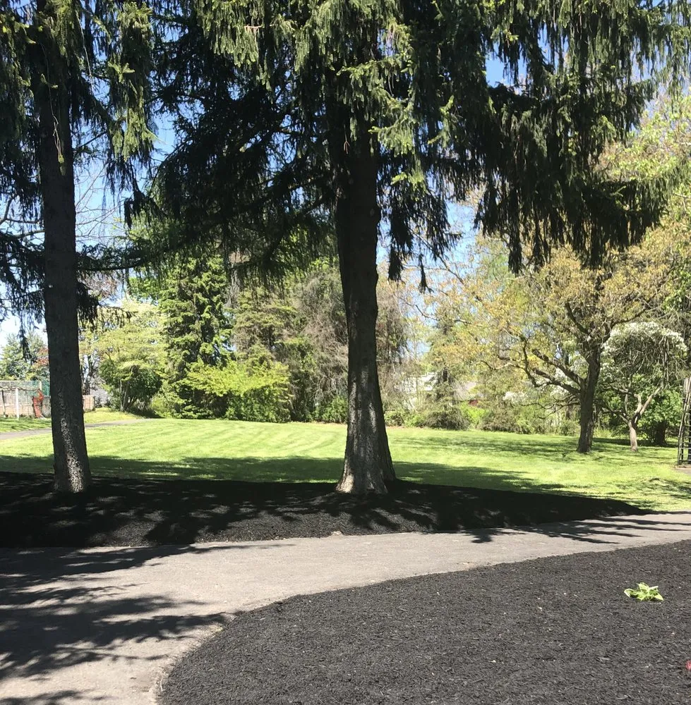 Expert yard maintenance experts serving Huntingdon Valley, PA - Clean Up Guyz
