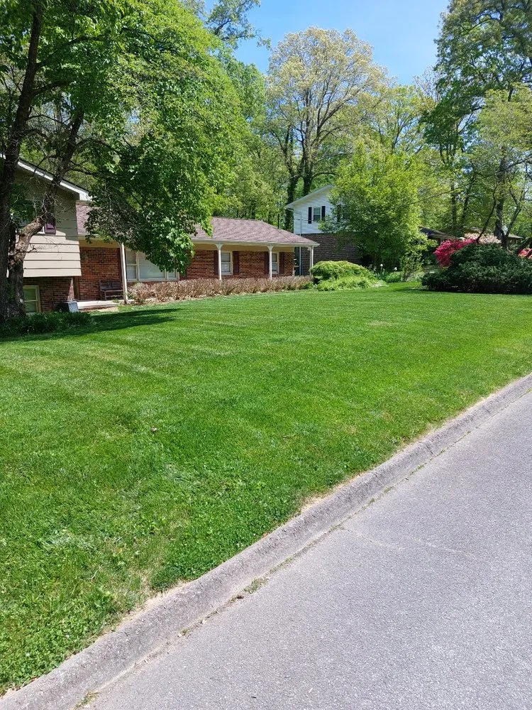 Affordable landscape installation in Oak Ridge, TN by Clean Up Lawn Service