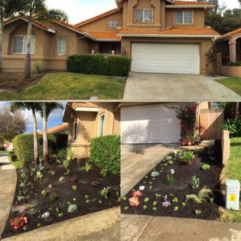 Affordable residential landscaping in San Jose, CA - Clean Up Maintenance and Landscape Service
