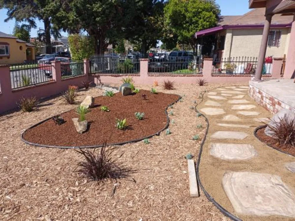 Local yard cleanup service for year-round maintenance in San Jose, CA by Clean Up Maintenance and Landscape Service