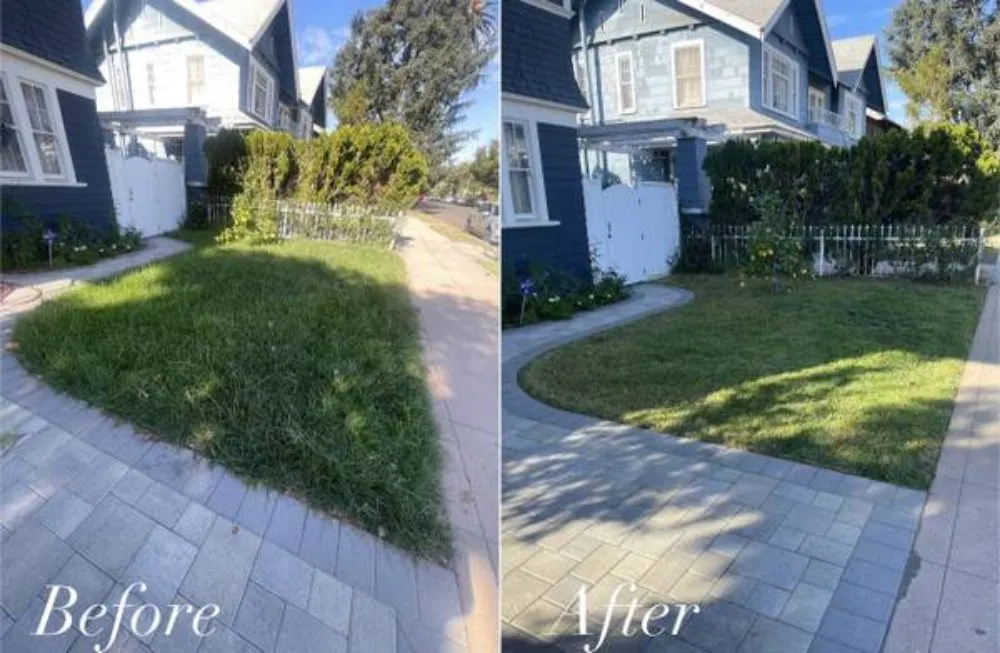 Trusted landscaping services for beautiful yards in San Jose, CA by Clean Up Maintenance and Landscape Service