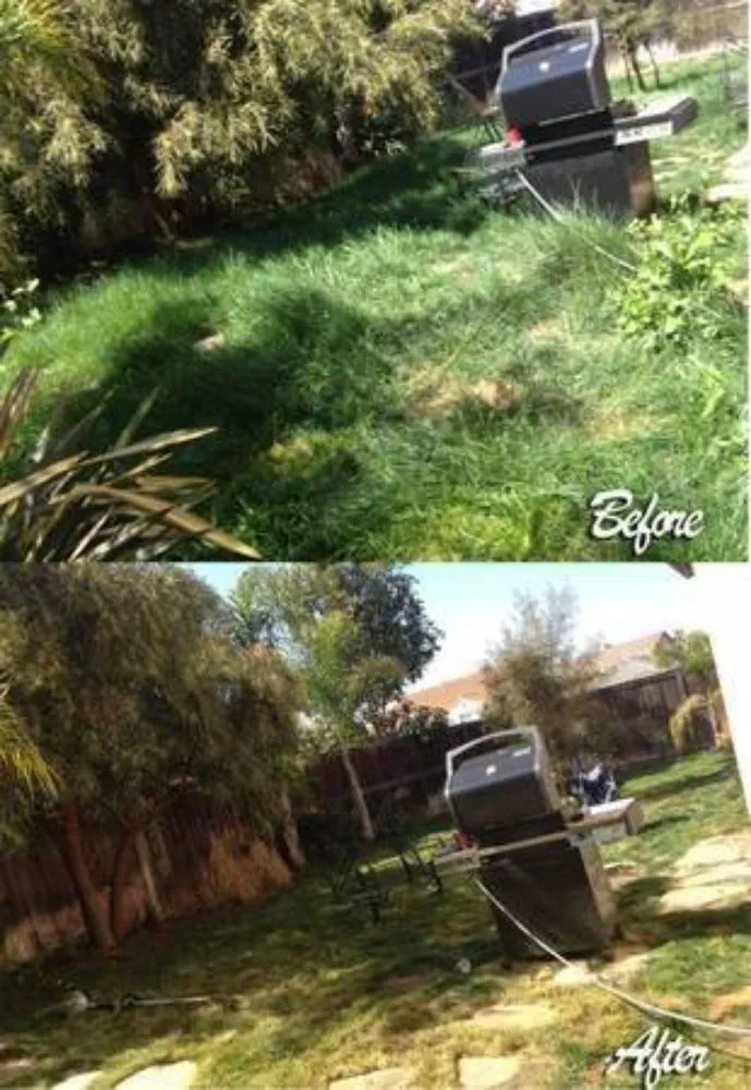 Trusted yard maintenance in San Jose, CA - Clean Up Maintenance and Landscape Service