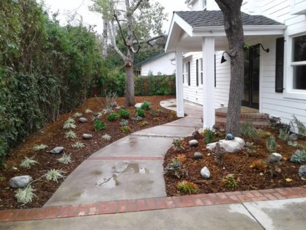 Expert yard maintenance in San Jose, CA by Clean Up Maintenance and Landscape Service