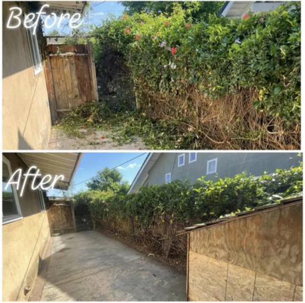 Top-rated landscaping services for residential properties across San Jose, CA - Clean Up Maintenance and Landscape Service