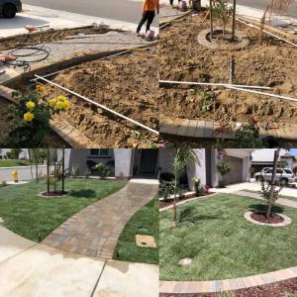 Reliable yard maintenance with custom design in San Jose, CA by Clean Up Maintenance and Landscape Service