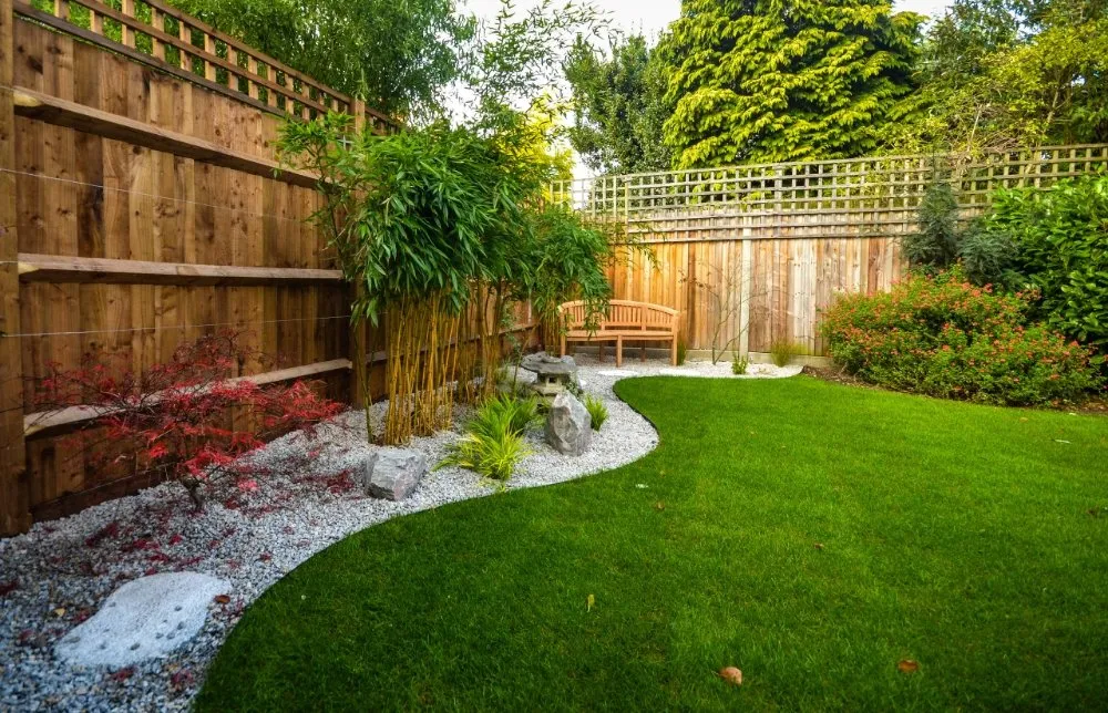 Reliable lawn care service in San Jose, CA - Clean Up Maintenance and Landscape Service