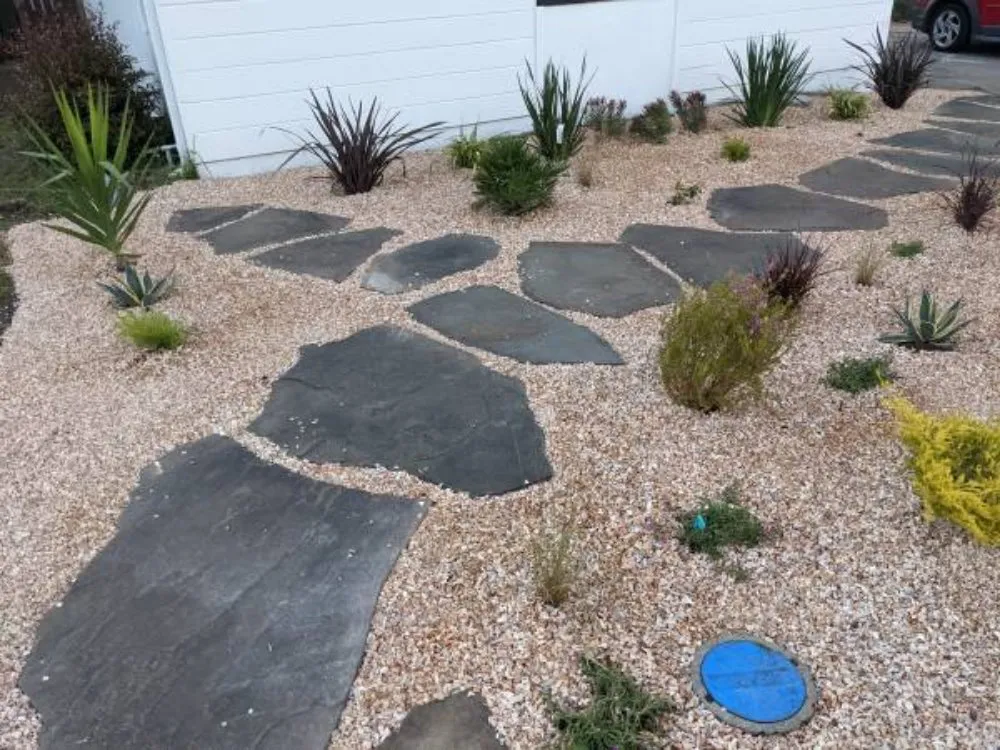 Affordable garden landscaping experts serving San Jose, CA - Clean Up Maintenance and Landscape Service