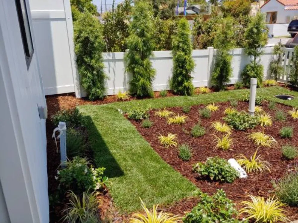Local yard cleanup service experts serving San Jose, CA - Clean Up Maintenance and Landscape Service