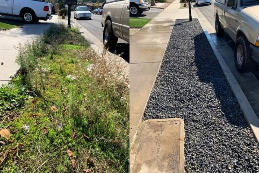 Reliable yard cleanup service for homes across San Jose, CA - Clean Up Maintenance and Landscape Service