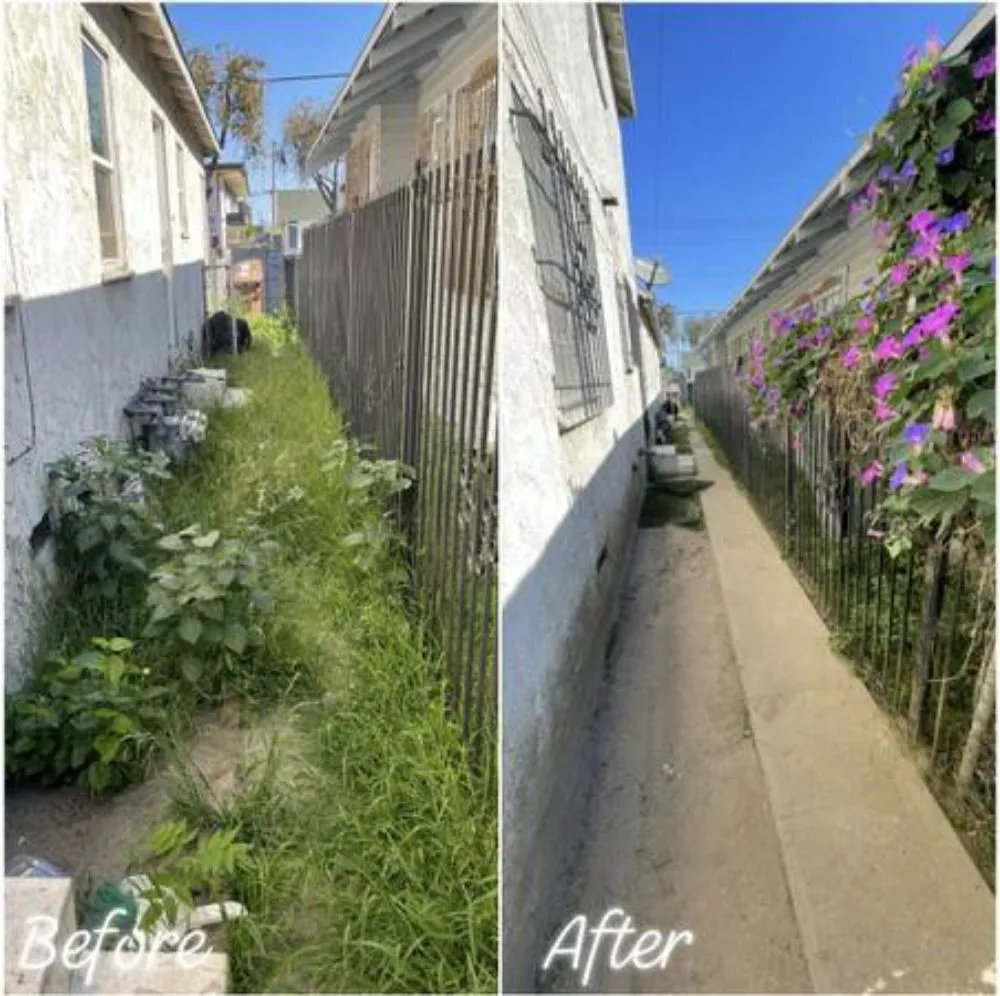 Top-rated landscape design in San Jose, CA - Clean Up Maintenance and Landscape Service