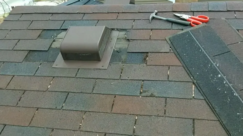 Expert yard maintenance for residential properties across Taylor, MI - Clean Ups