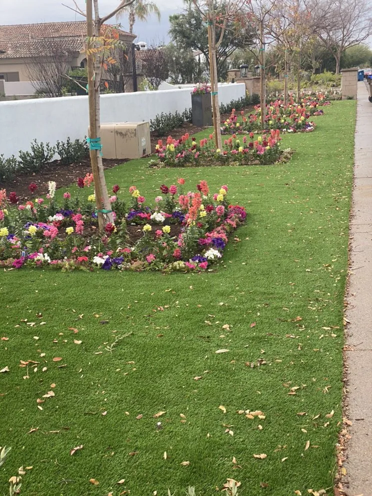 Reliable landscape design in Mesa, AZ by Clean view Landscape