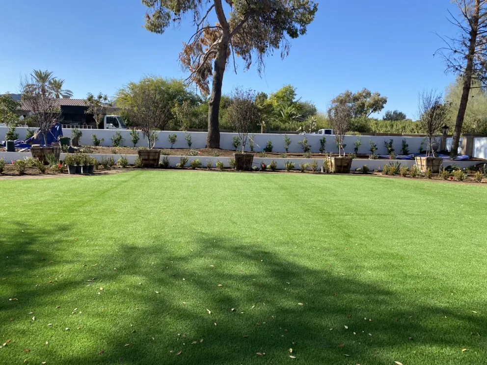 Local landscape design in Mesa, AZ - Clean view Landscape