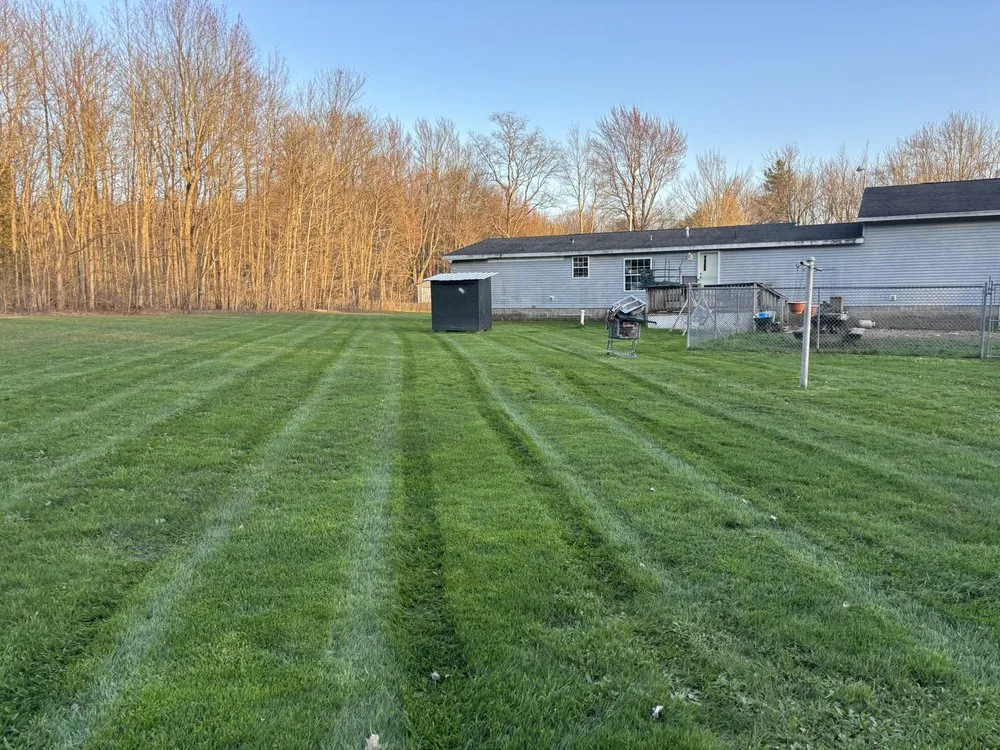 Expert yard maintenance for beautiful yards in Oswego, NY by Clean View Property Maintenance