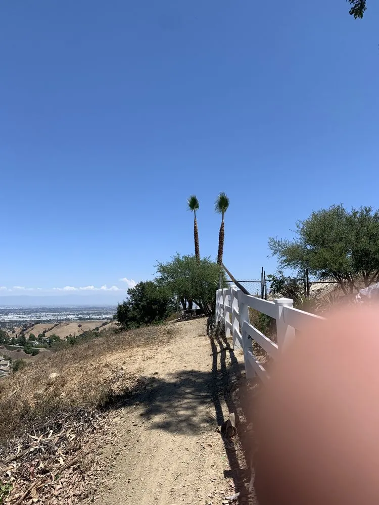 Expert lawn care service with custom design across Chino, CA - Clean View Tree Service and Landscaping