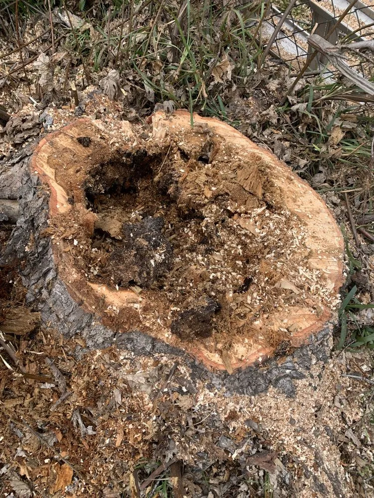 Expert landscape installation experts serving Chino, CA - Clean View Tree Service and Landscaping