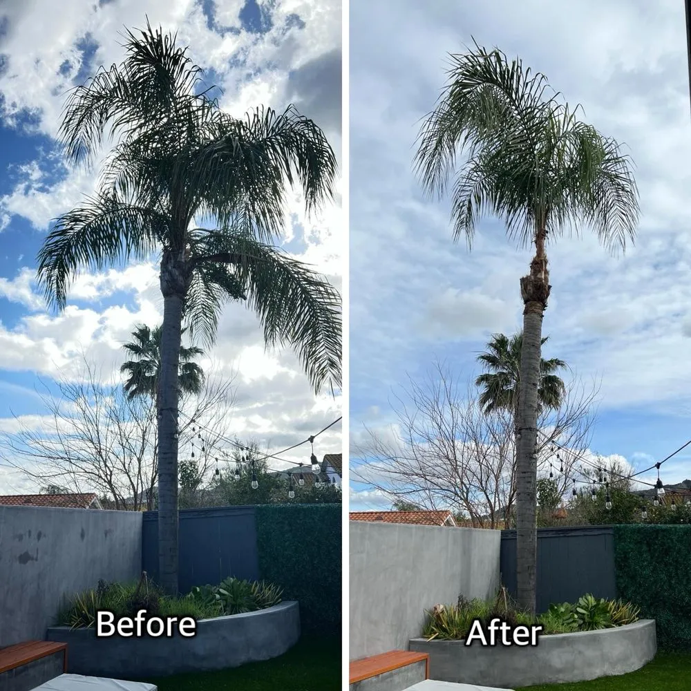 Local lawn care service experts serving Chino, CA - Clean View Tree Service and Landscaping