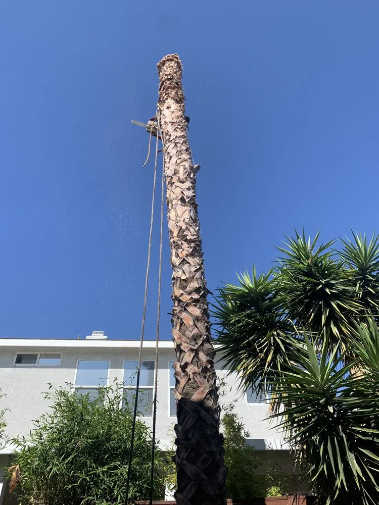 Custom garden landscaping in Chino, CA by Clean View Tree Service and Landscaping