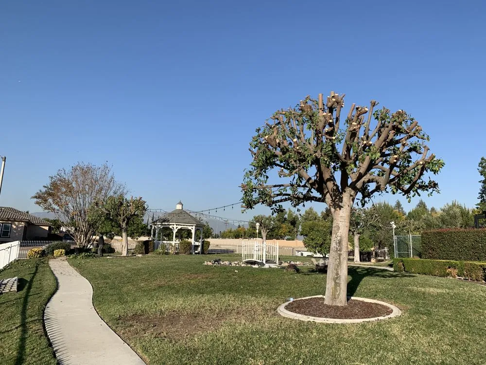 Trusted outdoor landscaping in Chino, CA by Clean View Tree Service and Landscaping