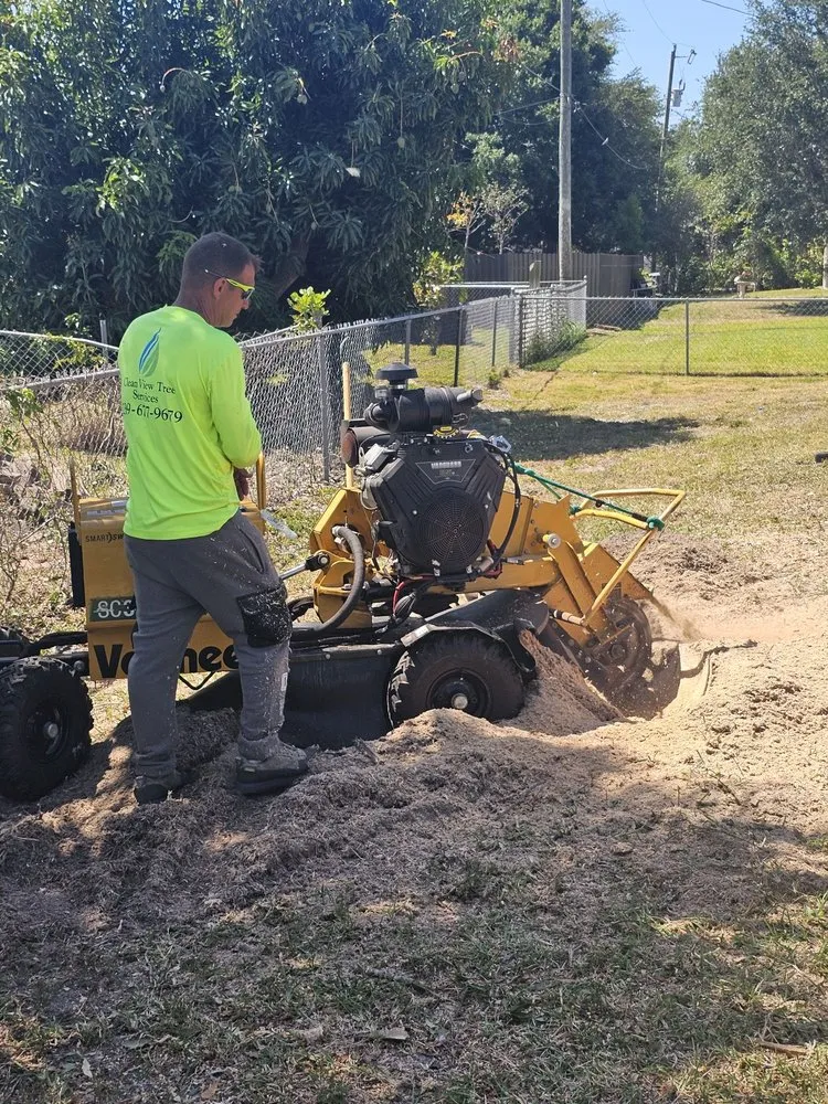 Expert residential landscaping for homes in Cape Coral, FL by Clean View Tree Services SW Florida