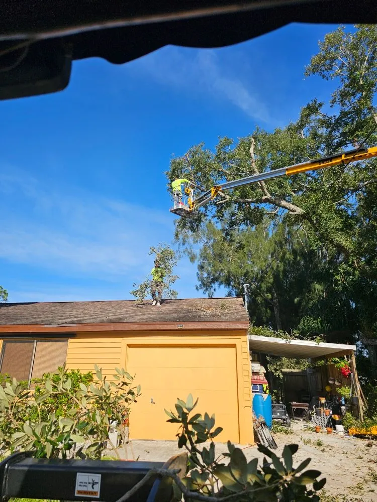 Local landscape installation in Cape Coral, FL by Clean View Tree Services SW Florida