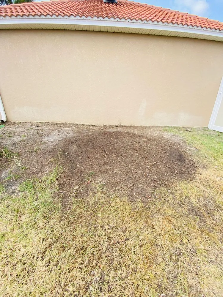 Custom lawn mowing service experts serving Cape Coral, FL - Clean View Tree Services SW Florida