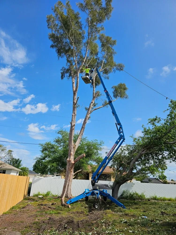Top-rated landscape installation in Cape Coral, FL - Clean View Tree Services SW Florida