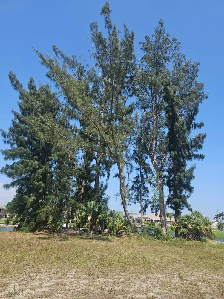 Reliable outdoor landscaping for residential properties in Cape Coral, FL by Clean View Tree Services SW Florida