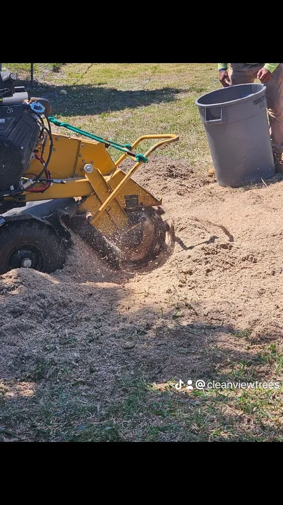 Professional outdoor landscaping in Cape Coral, FL by Clean View Tree Services SW Florida