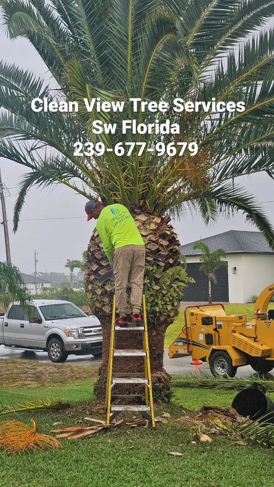 Local lawn mowing service in Cape Coral, FL by Clean View Tree Services SW Florida