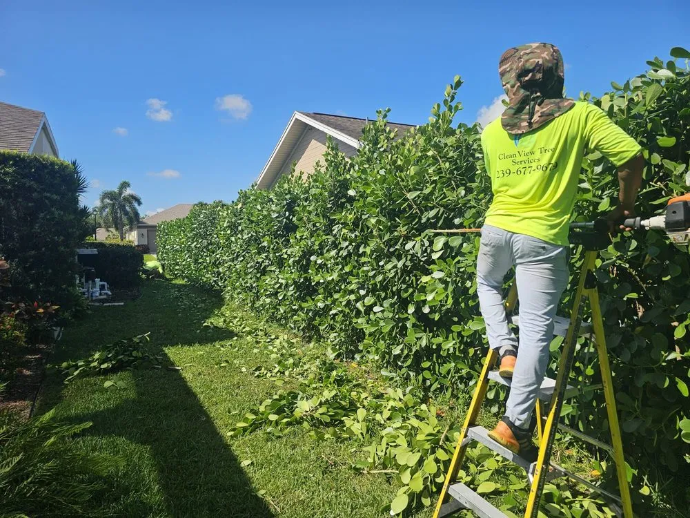 Custom garden landscaping for residential properties in Cape Coral, FL by Clean View Tree Services SW Florida