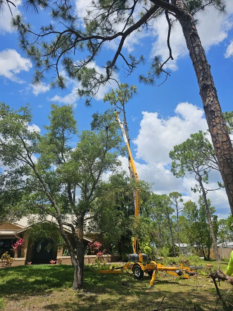 Top-rated residential landscaping in Cape Coral, FL by Clean View Tree Services SW Florida