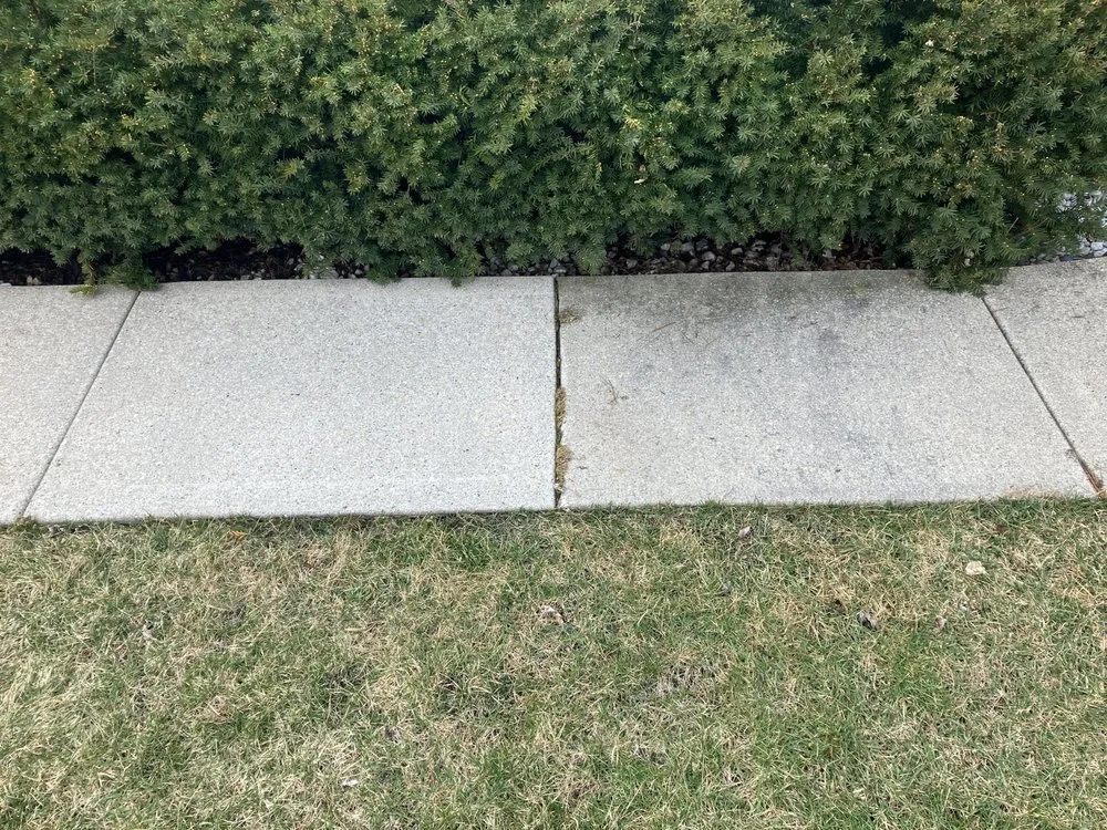 Top-rated yard maintenance experts serving Elkhorn, WI - Clean Yards