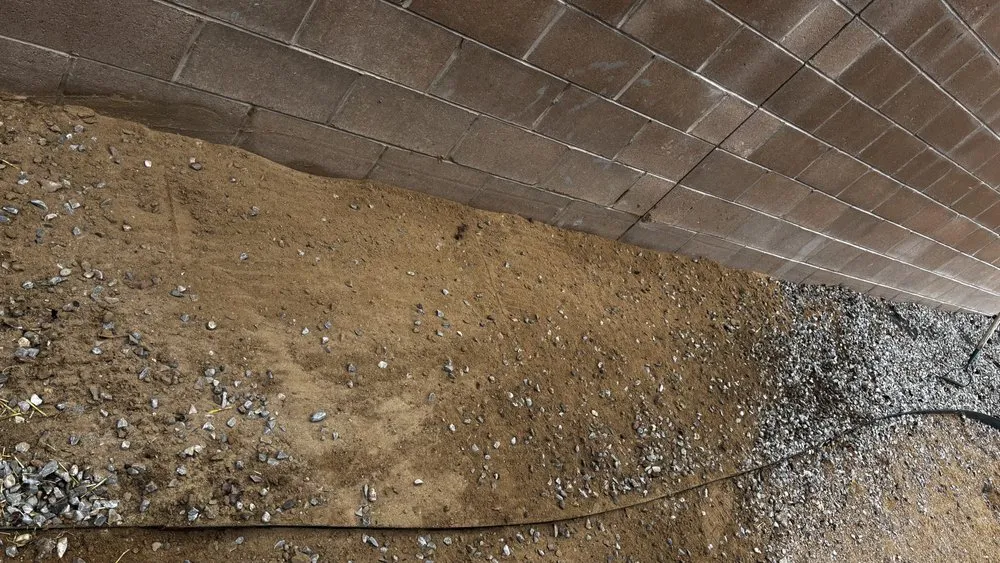 Expert lawn care service in Albuquerque, NM by Clean Yards R US