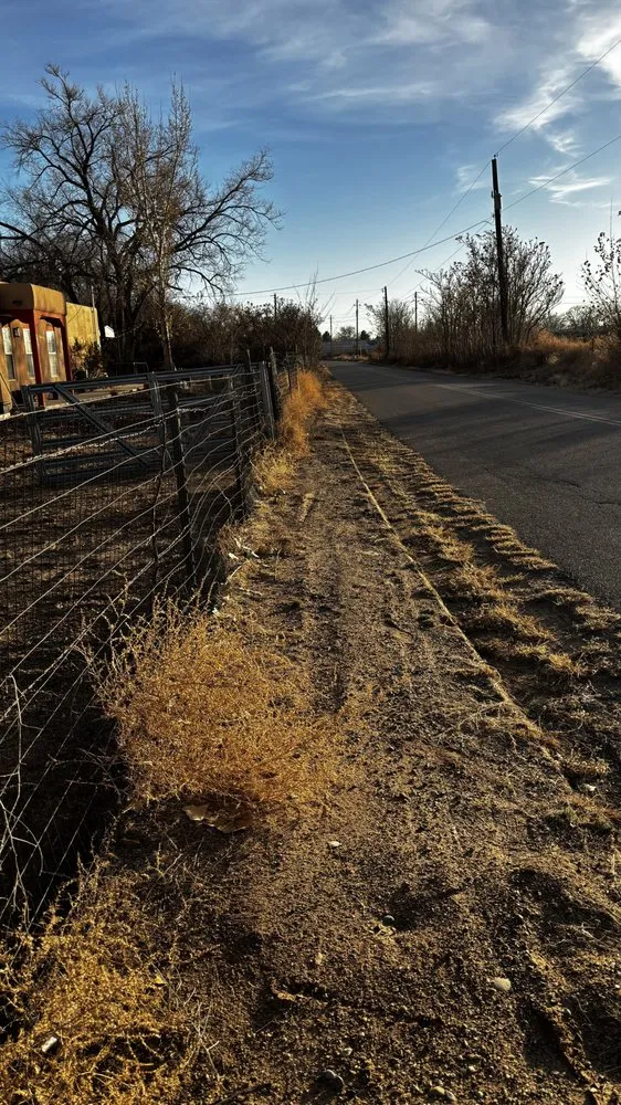 Expert landscape installation in Albuquerque, NM - Clean Yards R US
