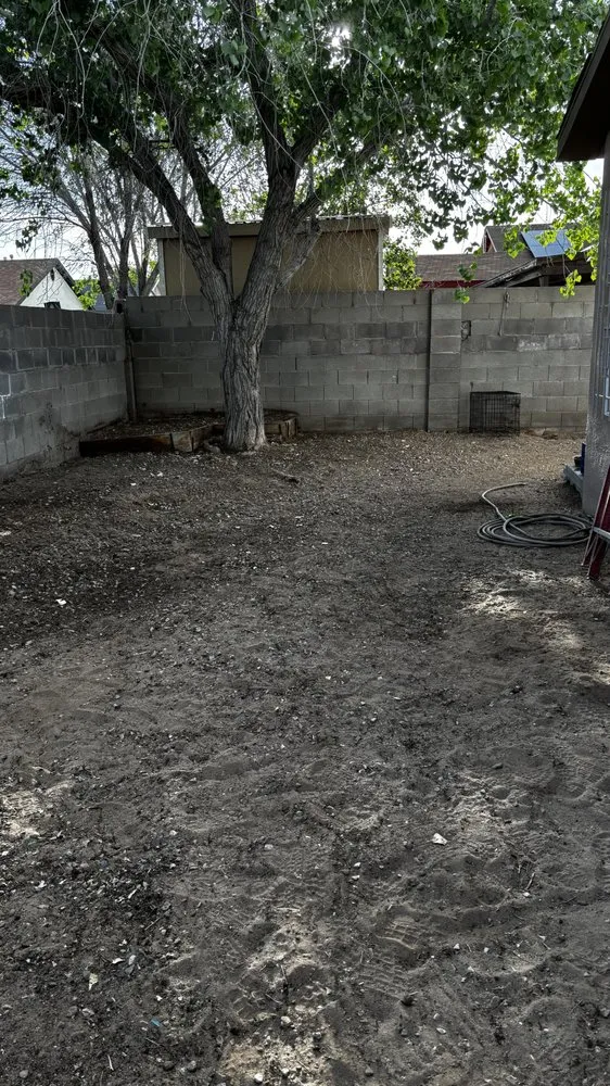 Local lawn mowing service for residential properties in Albuquerque, NM by Clean Yards R US