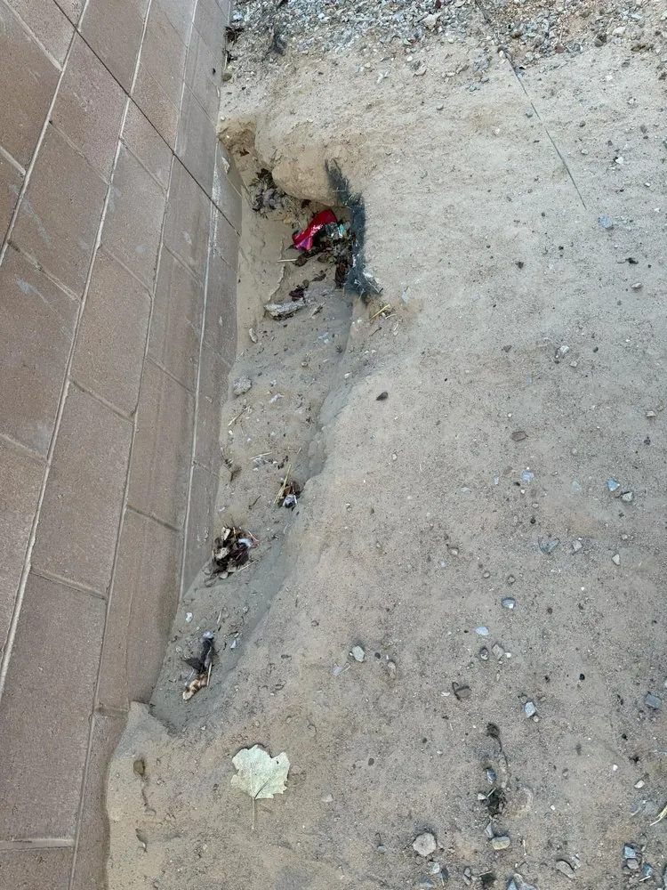 Professional landscape installation for homes in Albuquerque, NM by Clean Yards R US