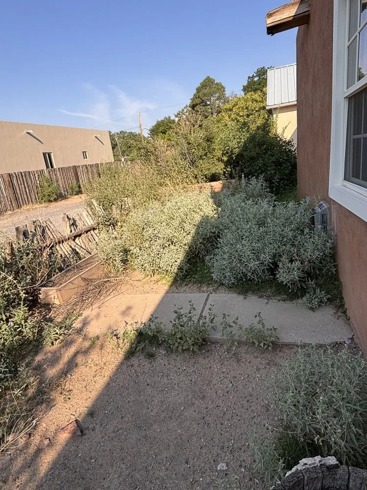 Expert outdoor landscaping experts serving Albuquerque, NM - Clean Yards R US
