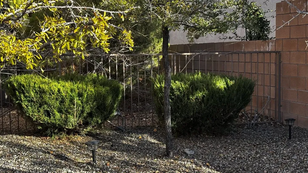 Local lawn mowing service in Albuquerque, NM by Clean Yards R US