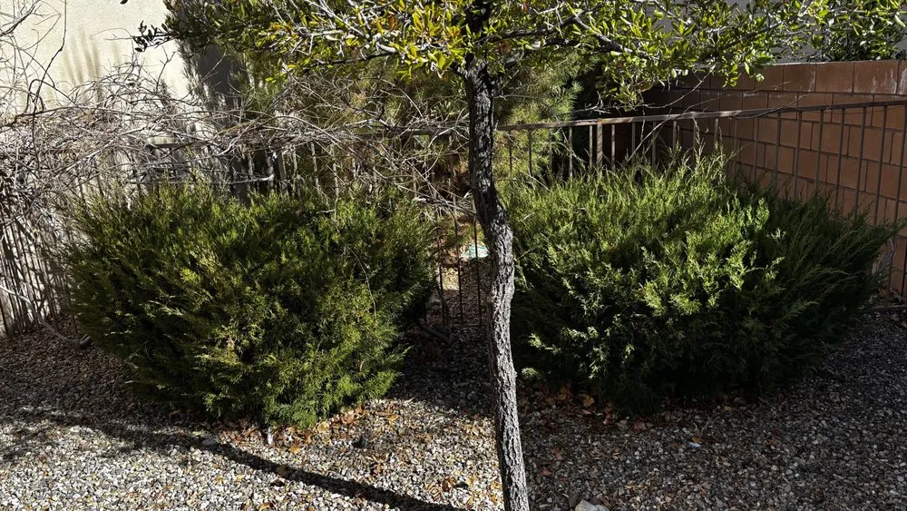 Custom garden landscaping experts serving Albuquerque, NM - Clean Yards R US