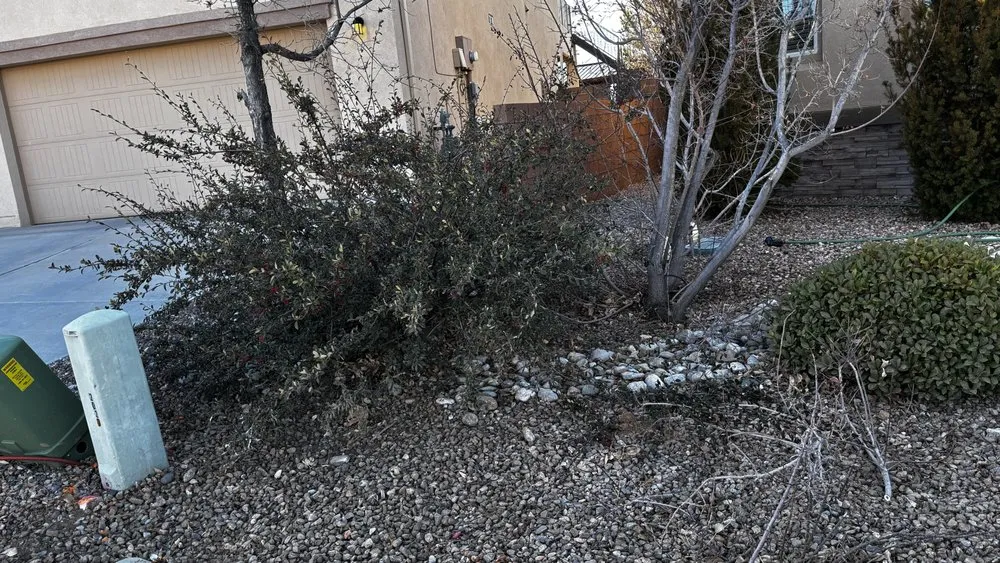 Reliable landscape design in Albuquerque, NM by Clean Yards R US