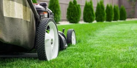 Trusted residential landscaping in Trinidad, TX - Clean Your Clutter