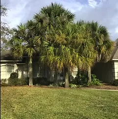Top-rated lawn care service for outdoor upgrades across Navarre, FL - Clean2Xtreme