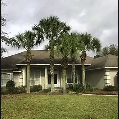 Local landscaping services in Navarre, FL by Clean2Xtreme