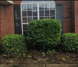 Reliable residential landscaping in Navarre, FL - Clean2Xtreme