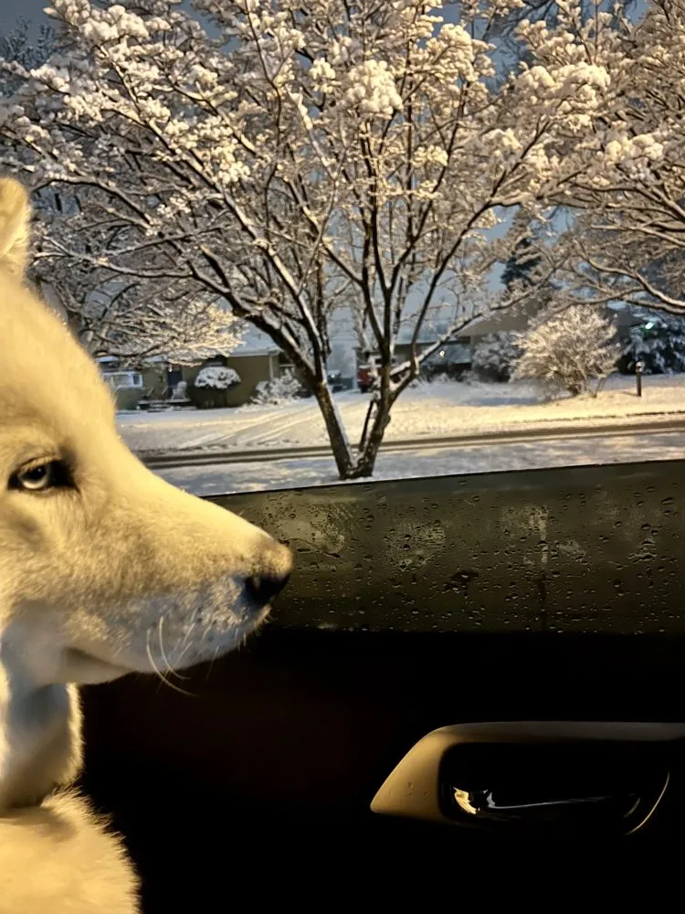 Top-rated outdoor landscaping in Erie, PA by CleanCo