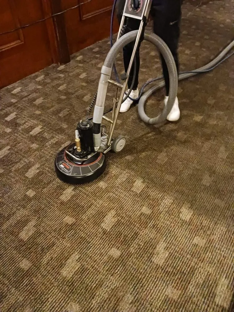 Reliable garden landscaping for outdoor upgrades in Erie, PA by CleanCo