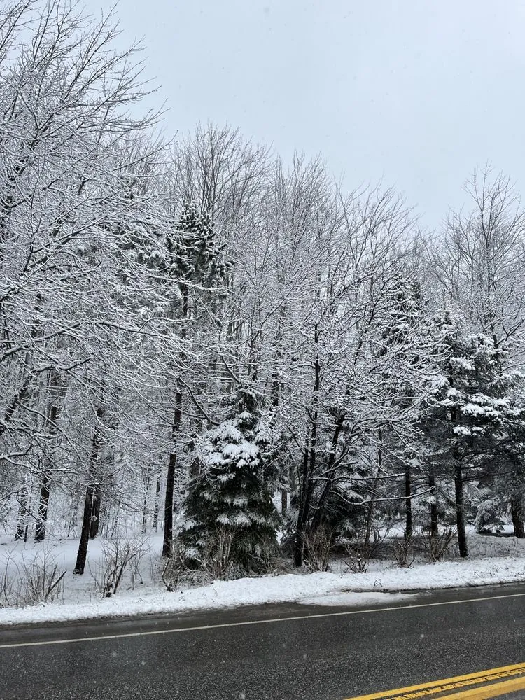 Trusted landscaping services experts serving Erie, PA - CleanCo