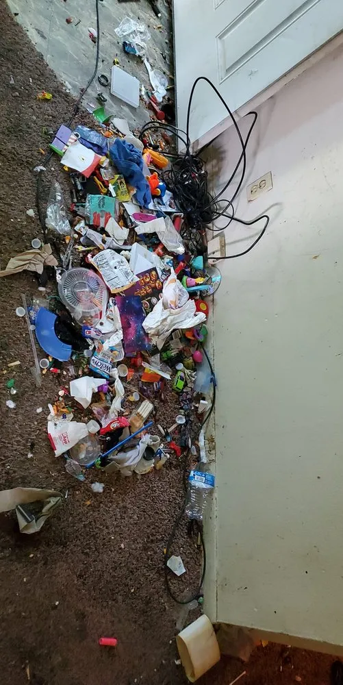 Custom landscaping services experts serving Erie, PA - CleanCo