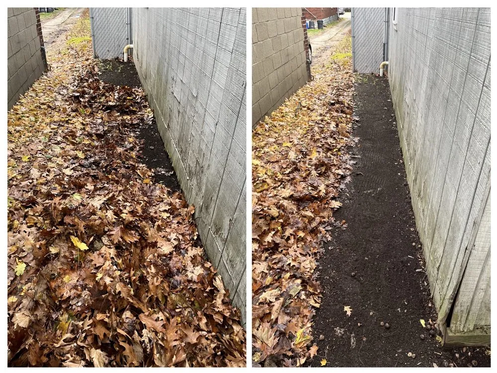 Trusted landscaping services in Erie, PA - CleanCo